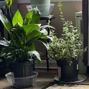 Meet your Posher, Roberto